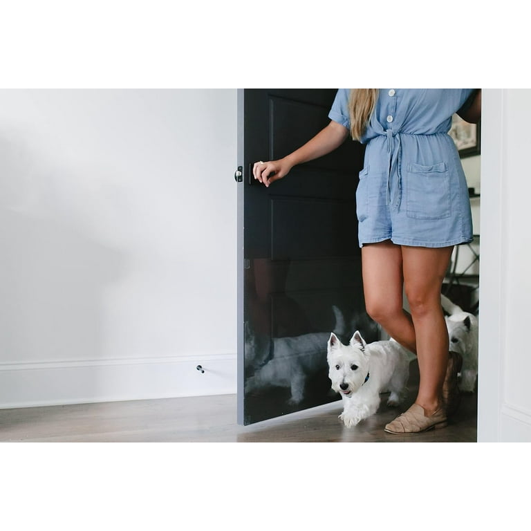 CLAWGUARD Scratch-Shield Strong Transparent Protection to Shield