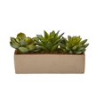 thumbnail image 1 of 5 in. Mixed Succulent Pot, 1 of 1