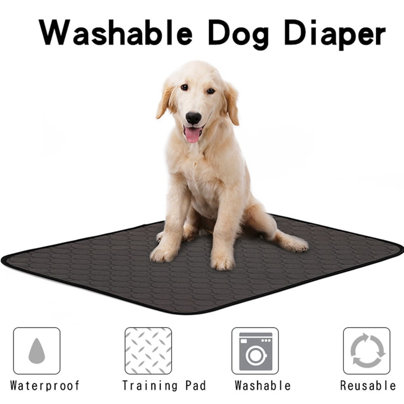 dog floor diaper