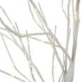 thumbnail image 5 of Pantalla exterior iluminada Hi-Line para regalo, abedul, 1,5 m LED, 5 of 5