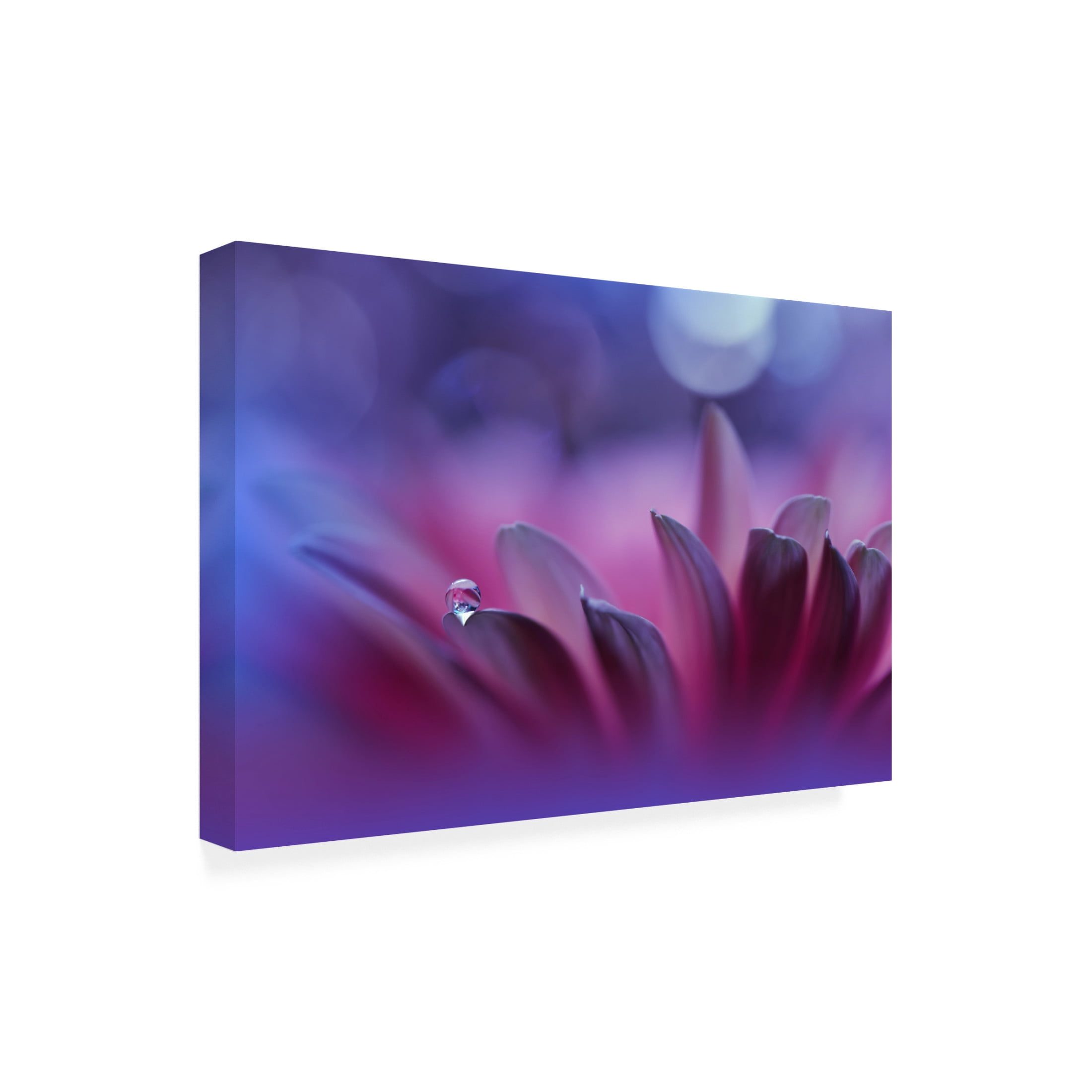 Trademark Fine Art Juliana Nan Blossoming Heartii Canvas Wall Art