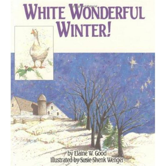 Pre-Owned White Wonderful Winter (Paperback) 1561481432 9781561481439