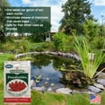thumbnail image 3 of Plantabbs Pondtabbs Aquatic Plant Food, 20 Count, 3 of 5