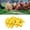 Yellow, variant on YAHHU 100Pcs Chicken Leg Rings Clip On Numbered Poultry Bands for Birds Ducks Goose Gamefowl High Visibility Farm Identification Tags Sturdy Plastic Materials Yellow (0.63 inches / 16 mm)
