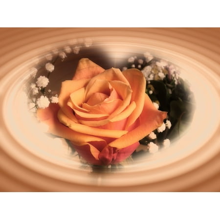- Peel-n-Stick Poster of Flower Heart Shape Shadow Form Heart Wave Rose Poster 24x16 Adhesive Sticker Poster Print