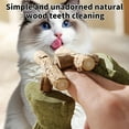 thumbnail image 3 of Wooden Creative Fish Bone Cat Toy, Natural Catnip Teeth Cleaning Stick & Dental Chew Toy for Kittens, Interactive Fishbone Shape Chew Plaything to Fix Your Cat's Dental Health, 3 of 10