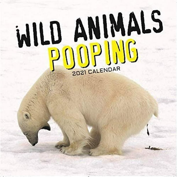 2021 Wall Calendar 12" x 12" Monthly View, Wild Animals ...