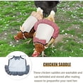 thumbnail image 5 of Silla de montar para pollo, delantal para gallina con correas para protección del ala trasera de aves de corral, 3 uds., 5 of 5