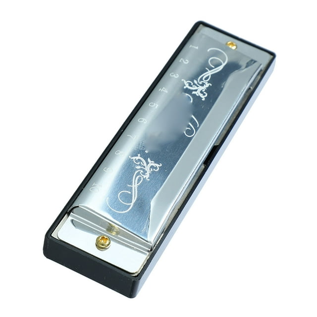 Harmonica 10 Hole 20 Tune C Key,Professional Mouth Organ with Case for Kid Beginner