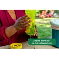 thumbnail image 6 of RESCUE! Outdoor Yellow Jacket Attractant Trap Refill, 4 Week Supply, 6 of 9