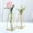 TYPE5, variant on Efavormart Set of 2 | 6" Gold Metal Geometric Vase Wedding Centerpieces Test Tube Vase