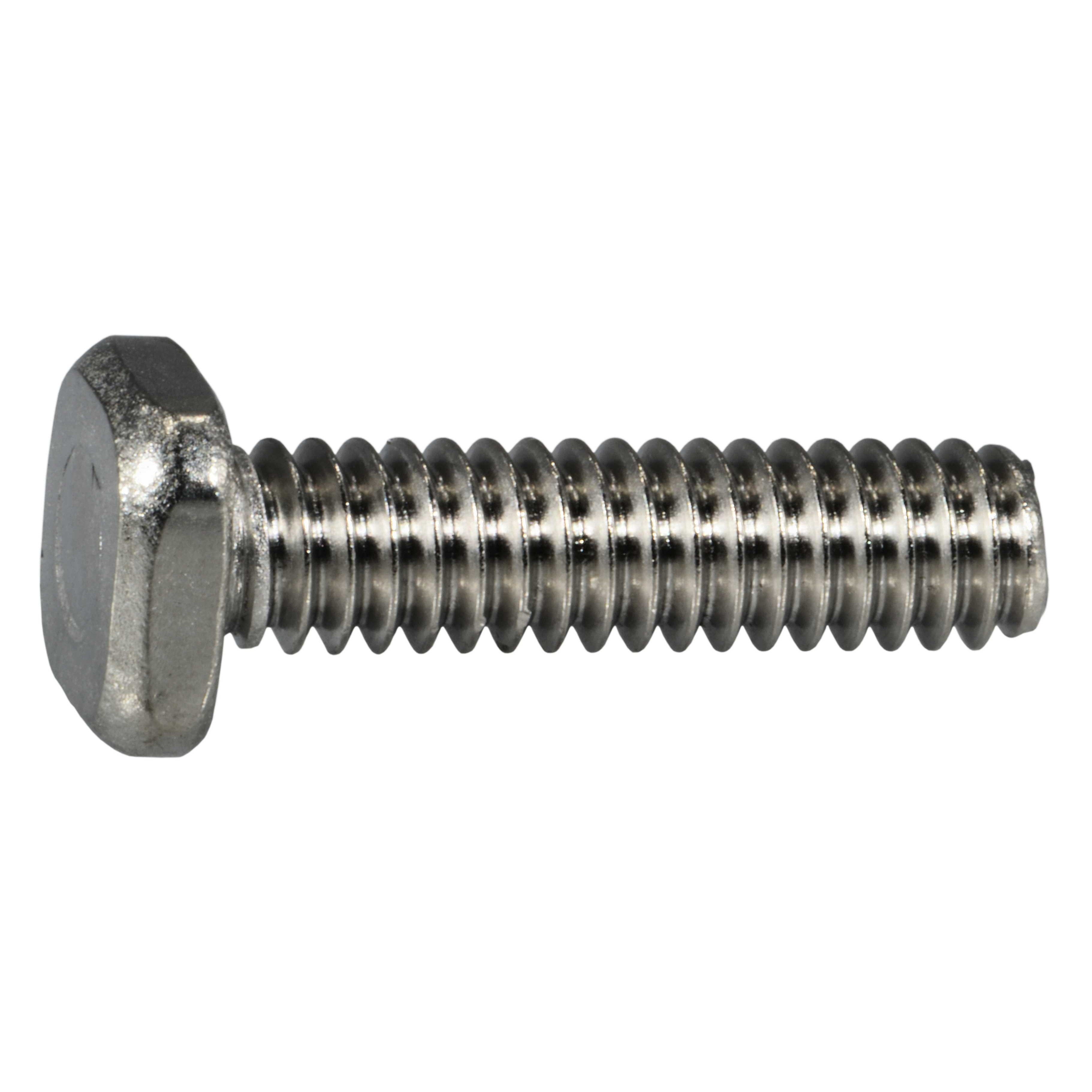 1/4-20 x 5/8" Long Thumb Screw *STAINLESS STEEL* FAST SHIP 4 Four 