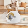 thumbnail image 3 of Miumaeov 600W Portable Electric Pet Dryer Machine 7.5kg Cat Dryer Box Kitty Puppy Drying Machine, 3 of 18