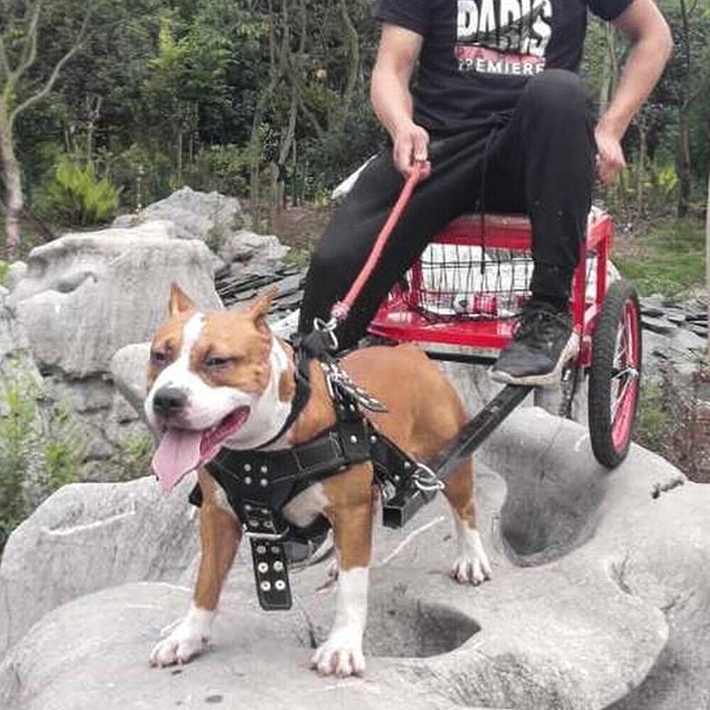 Pet Artist Heavy Duty Dog Weight Pulling Harness Adjustable Medium Large Vest Pitbull Black