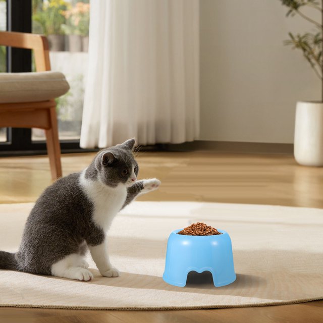 UPGRATOR 1Pcs Bol Rond en Plastique pour Chien pour Alimentation et Arrosage - Couleur Bleue