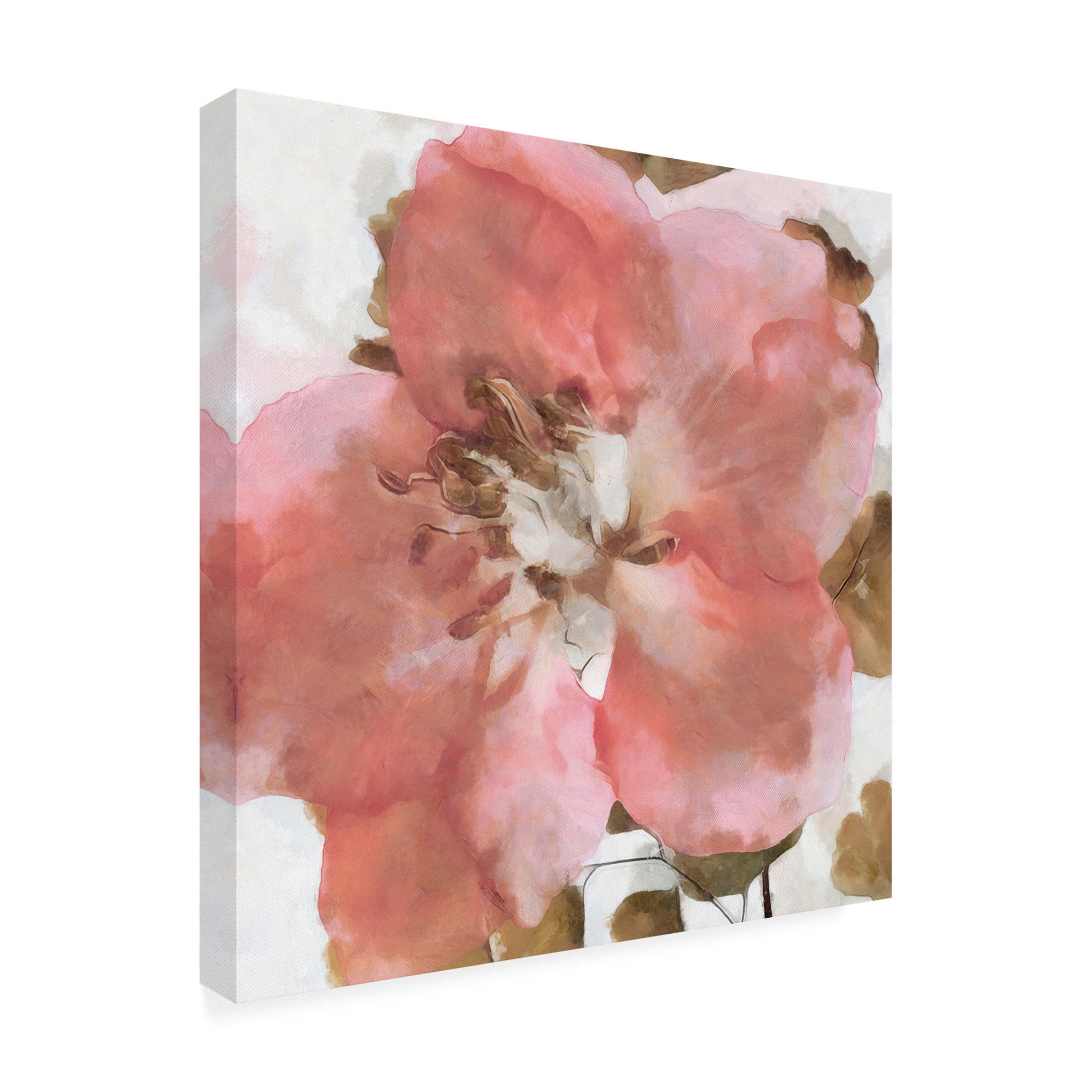 Canvas Wall Art - Alonzo Saunders 'Delicateness I' Wall Art for Living Room, Bedroom, or Office Décor by Trademark Fine Art - 35 x 35 Inches