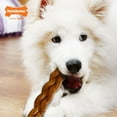 thumbnail image 3 of Nylabone Power Chew Alternative Braided Bully Stick Large Dog Toy, 3 of 9