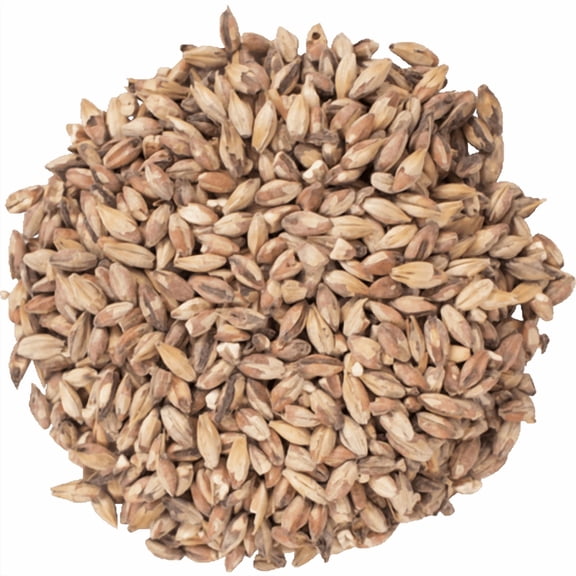 Special Roast Malt 50°L for Brewing – Specialty Malted Barley for Beer Making, Home Brewing & Toasted Grain Recipes – 1 lb Whole Grain
