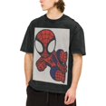 thumbnail image 1 of Spider-Man Vintage Washed Drop Shoulder Short Sleeve T-Shirt - Iron On, 1 of 7