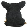 thumbnail image 5 of Hi-Line Gift Ltd Chihuahua Puppy Statue, Brown/White, 5 of 10