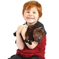 thumbnail image 1 of Billy the Bison - 10 pulgadas de peluche de peluche de peluche - por Tiger Tale Toys VIAHART VIAHART, 1 of 2