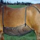 thumbnail image 5 of Horse Sheet Protector de vientre Red de abdomen Alfombra cómoda para exteriores Elasticidad Antiarañazos Protector de Sunnimix Hoja de mosca de caballo, 5 of 8