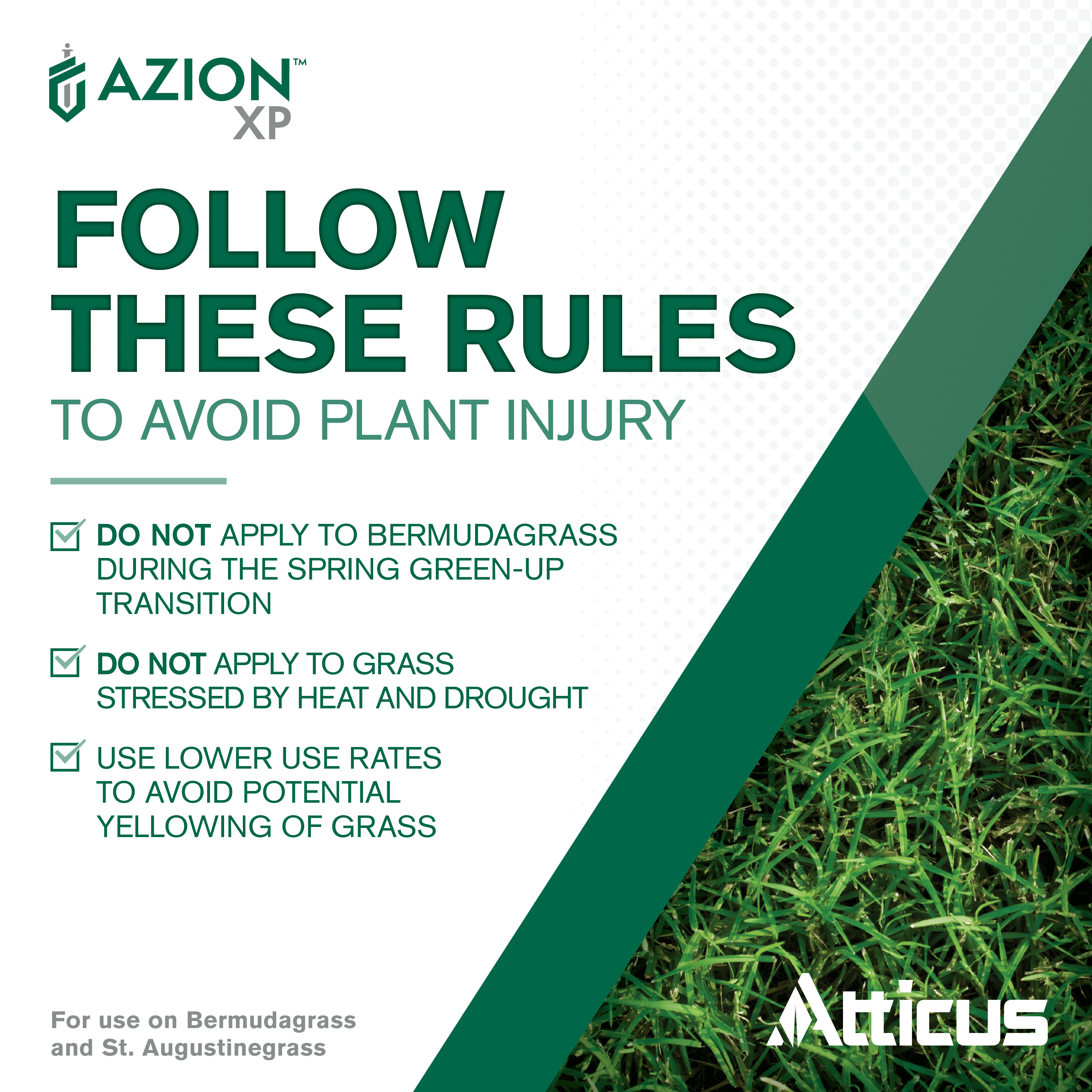 Azion XP MSM Turf Herbicide (16 oz) - Selective Postemergence Weed and Brush Control, Metsulfuron Methyl 60% by Atticus