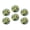 C1881, variant on Glass Refrigerator Magnet 6Pcs Magnetic Fridge Sticker,Decor for Kitchen,Whiteboard,Cabinet,Fresh Lemon Tree Branches Watercolor Summer Design