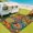 Multicolor 9, variant on Multicolor Bohemian Mandala Pattern Outdoor Area Rug