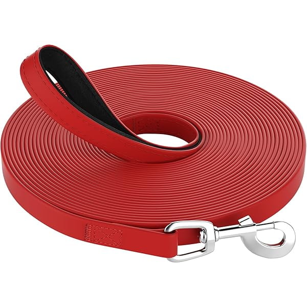 Eryueer Training Lead for Dogs, 10M/9.8FT Waterproof Extra Long Line Dog Lead with Soft Padded Handle, Training Leads Leash for Recall & Obedience for all Sized Dogs, for Swimming Walking Playing