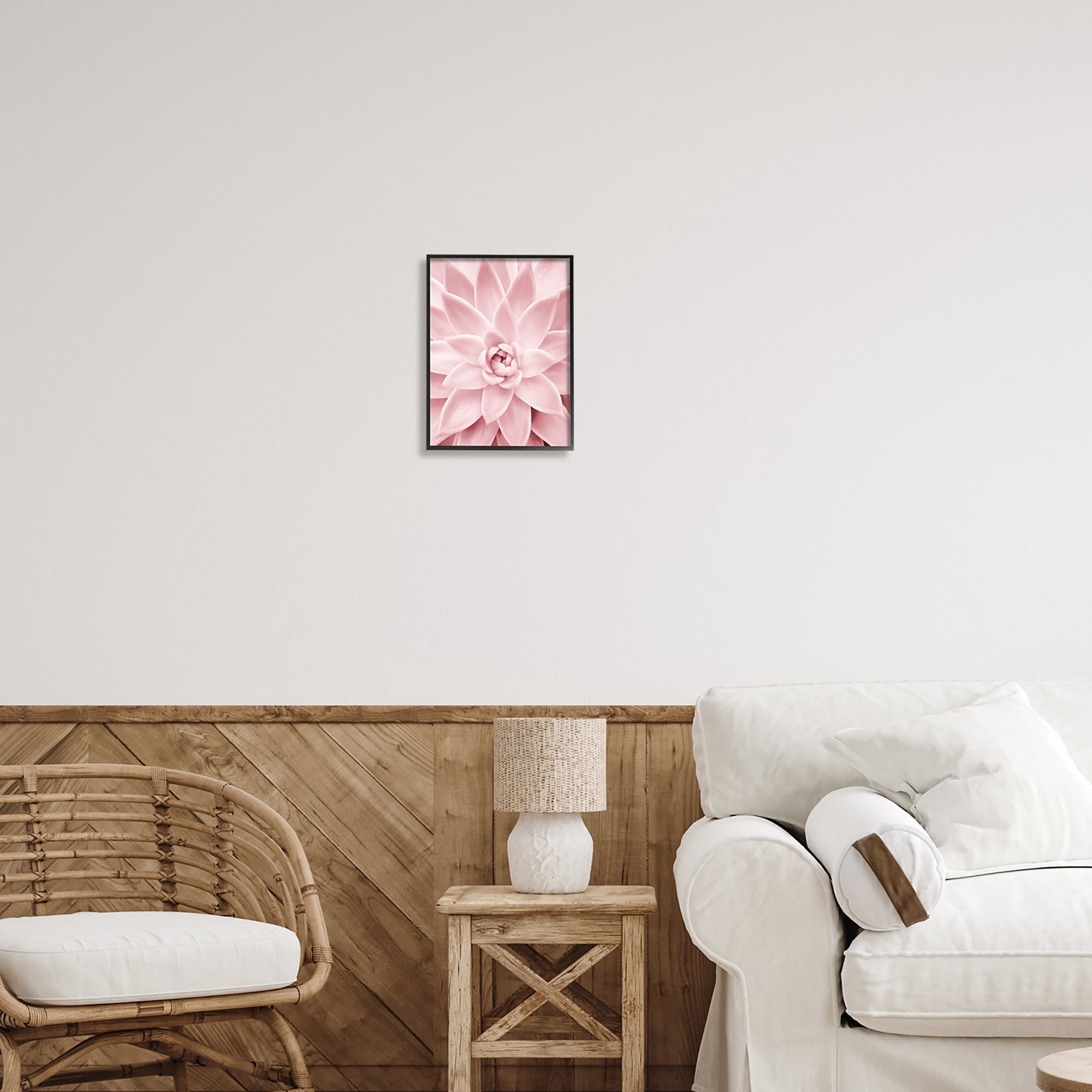 Stupell Industries Pastel Pink Succulent Botanical & Floral Photography Black Framed Art Print Wall Art, 11 x 14
