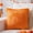 Orange, variant on 1pcs Pumpkin Fall Orange Throw Pillow Covers 18 x 18 Soft Plush Couch Sofa Pillows Cushion Covers Cases for Autumn Harvest Farmhouse Halloween Home Decorations
