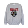 thumbnail image 1 of Harry Potter Boys Hogwarts Emblem Sweatshirt, 1 of 4