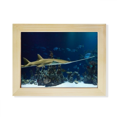 thumbnail image 1 of Ocean Ray Skate Science Nature Picture Desktop Photo Frame Picture Art Decoration Painting 6x8 inch, 1 of 3
