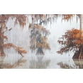 thumbnail image 2 of Marchegiani, Roberto 14x11 White Modern Wood Framed Museum Art Print Titled - Mysty Bayou, 2 of 4