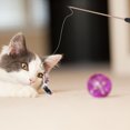 thumbnail image 3 of MIANGASTORE 3Pcs Cat Bite Resistant Sticks Cat Interactive Toys Kitten Teasing Sticks Pet Kitten Playthings (Random Color), 3 of 8