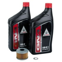 Oil Change Kit With Pro-Honda GN4 10W-40 for Honda TRX 400EX 1999-2008