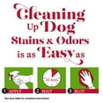 thumbnail image 4 of Nature's Miracle Dog Stain and Odor Remover 128oz Pour, 4 of 8