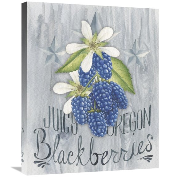 Global Gallery's 'American Berries IV' by Elyse DeNeige Stretched Canvas Wall Art