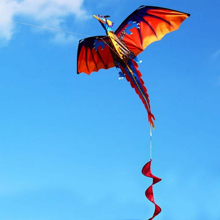 Buytra Large 3D Nylon Kite Flying Dragon Kite with 100m Line Family Outdoor  Sports Toy 