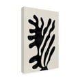thumbnail image 4 of Trademark Fine Art THE MIUUS STUDIO Abstract Plant No1 Canvas Wall Art, 4 of 4