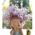 thumbnail image 4 of Live Succulent 4" Callisia Repens Pink Lady Turtle Vine, Succulents Plants Live Fully Rooted House Plant for Home Office Decoration, DIY Projects, 4 of 5