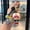 NYS116, variant on One Piece Cartoon Keychains For Girls Boys, Cute Pendant Keychains Accessories, Key ring Purse Backpack, Key Accessories Wristlet