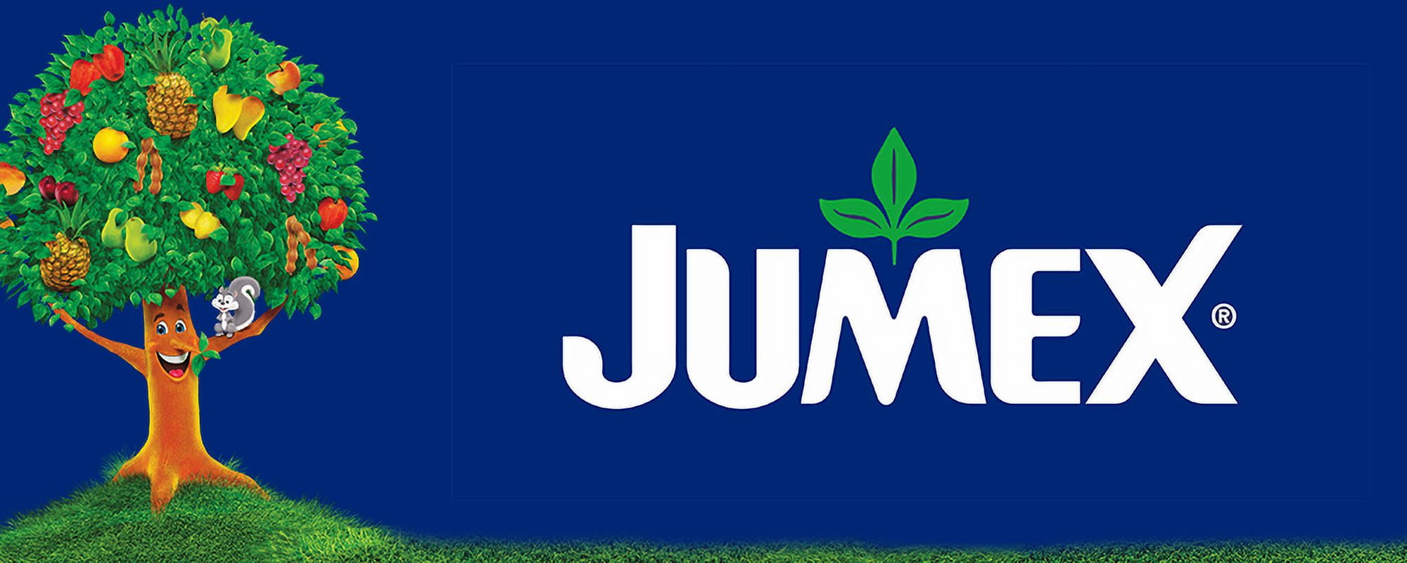 (12 pack) Jumex Peach Nectar Juice, 11.3 fl oz