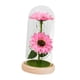 thumbnail image 5 of Girasol en cúpula de cristal Regalos Lámpara de girasol para mujeres Mamá Esposa Abuela Amiga Estilo B, 5 of 9