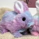 thumbnail image 5 of Interactive toy rabbit Simulated pet, 5 of 5
