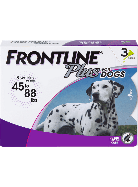 Dog Flea and Tick in Dogs