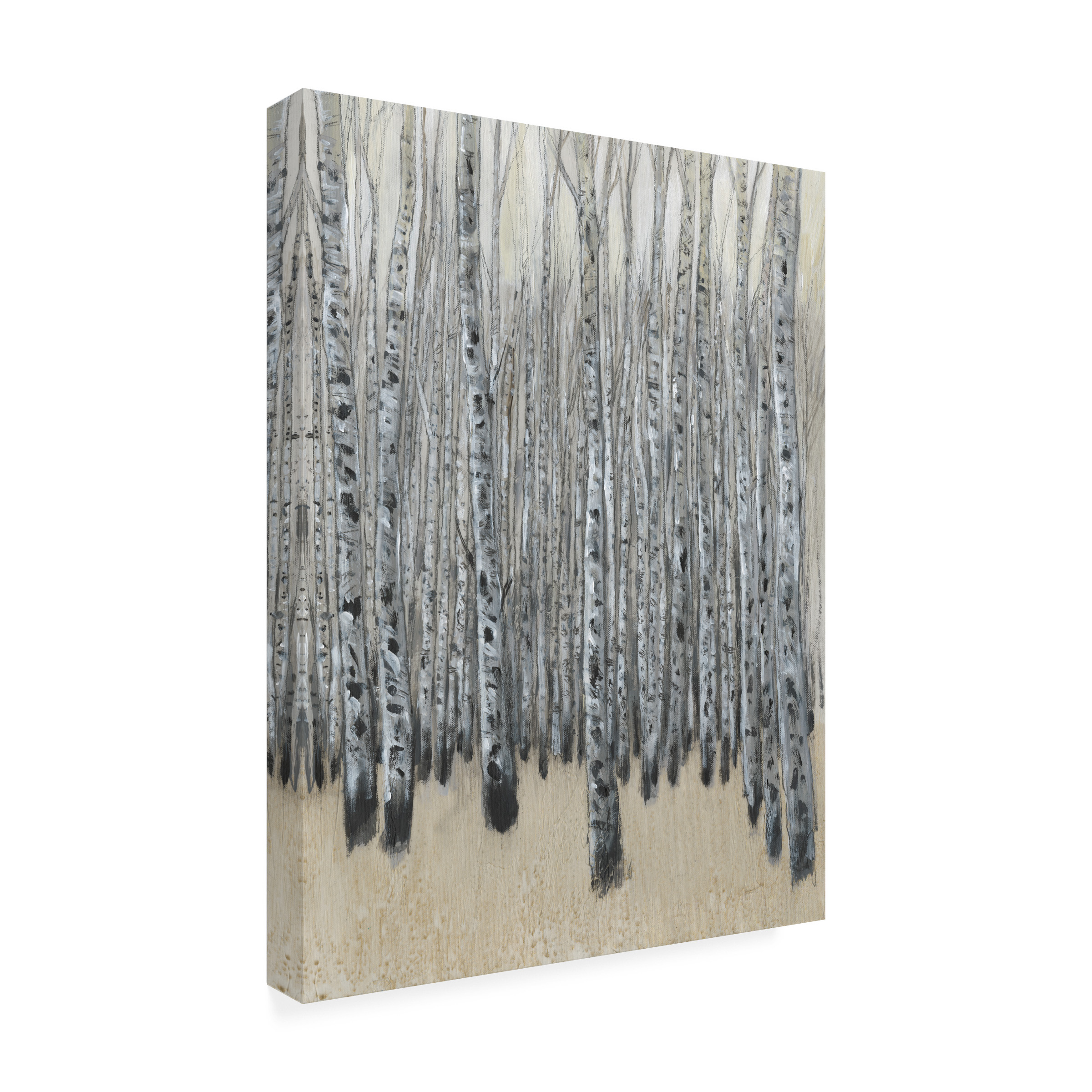 Tim OToole 'Neutral Aspen II' Canvas Art