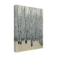 thumbnail image 2 of Tim OToole 'Neutral Aspen II' Canvas Art, 2 of 3
