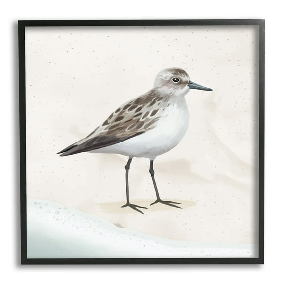 Stupell Industries Sandpiper Bird at Water's Edge Beach Shoreline Graphic Art Black Framed Art Print Wall Art, Design by Lucca Sheppard